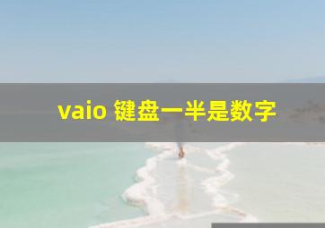 vaio 键盘一半是数字